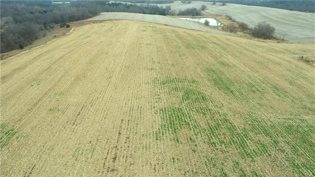 $10,000 | 59 Highway 59, Oregon, MO 64473