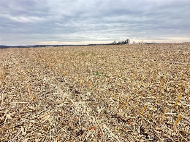 $10,000 | 59 Highway 59, Oregon, MO 64473