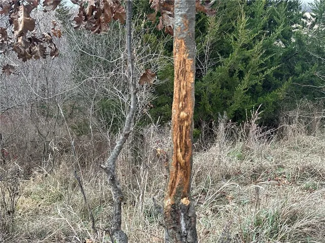 $10,000 | 59 Highway 59, Oregon, MO 64473