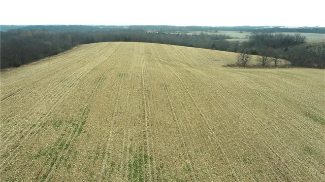 $10,000 | 59 Highway 59, Oregon, MO 64473