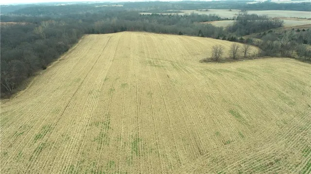 $10,000 | 59 Highway 59, Oregon, MO 64473