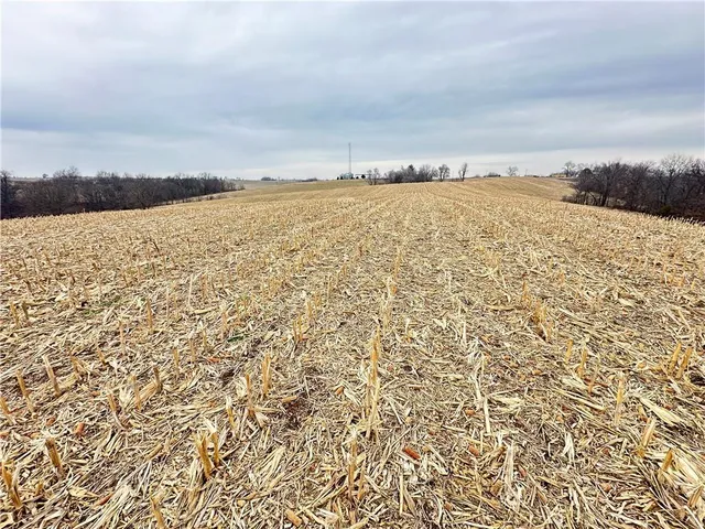 $10,000 | 59 Highway 59, Oregon, MO 64473