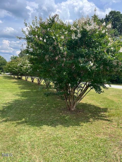 92 Renee Lane Roxboro, NC 27574 - Photo 21 of 22 IMG_5655