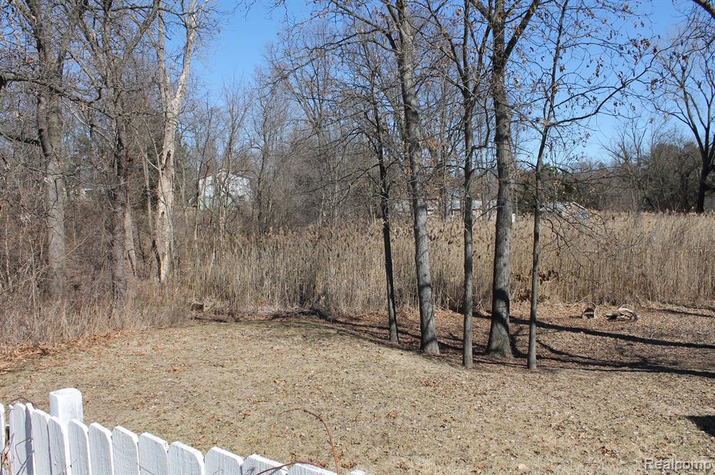 9611 Whitewood Road Pinckney, MI 48169 - Photo 21 of 38 Gallery Image 21