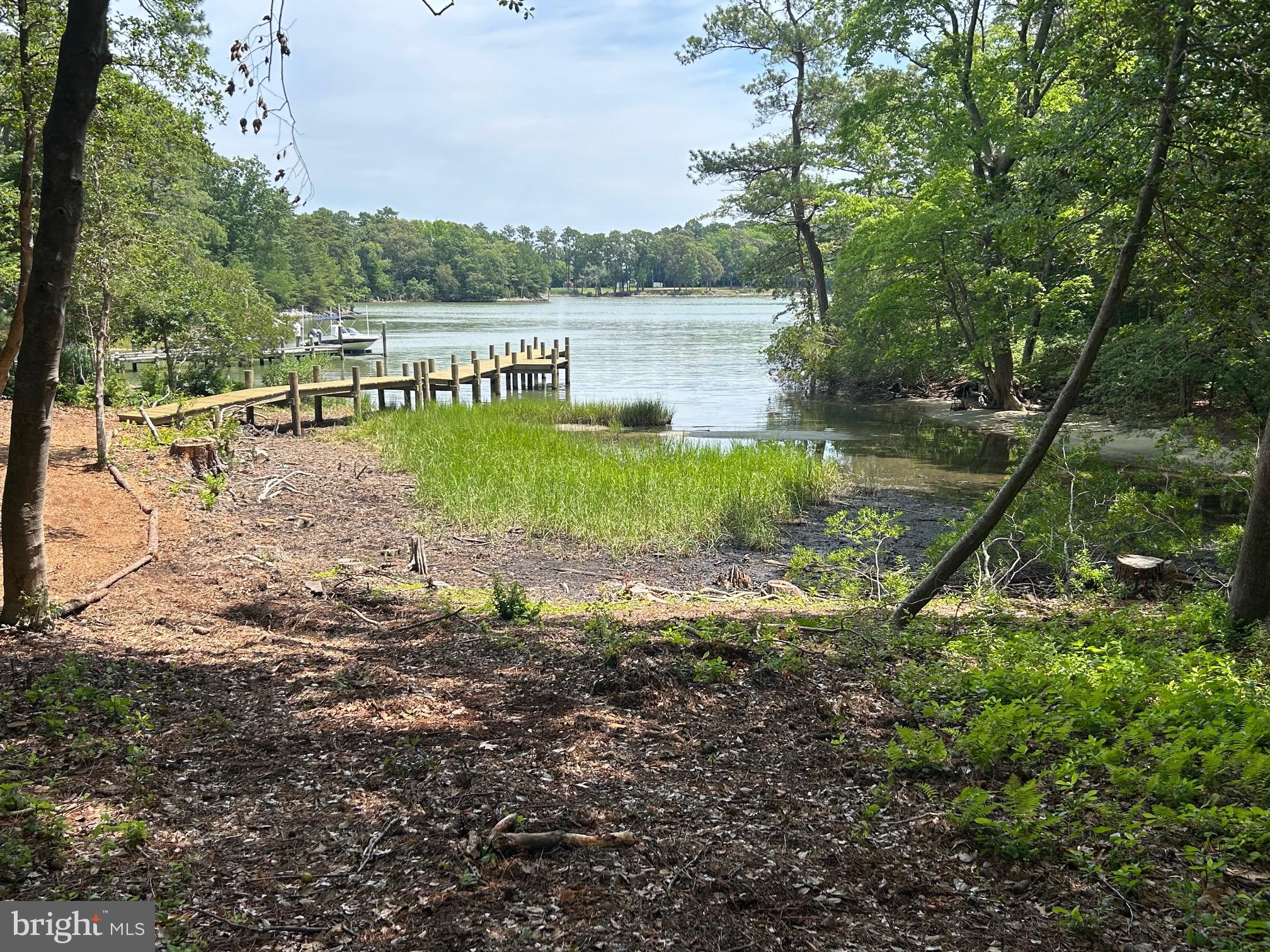 57 Waterman's Way Reedville, VA 22539 - Photo 24 of 43 Rear yard to pier & dock via natural walkway