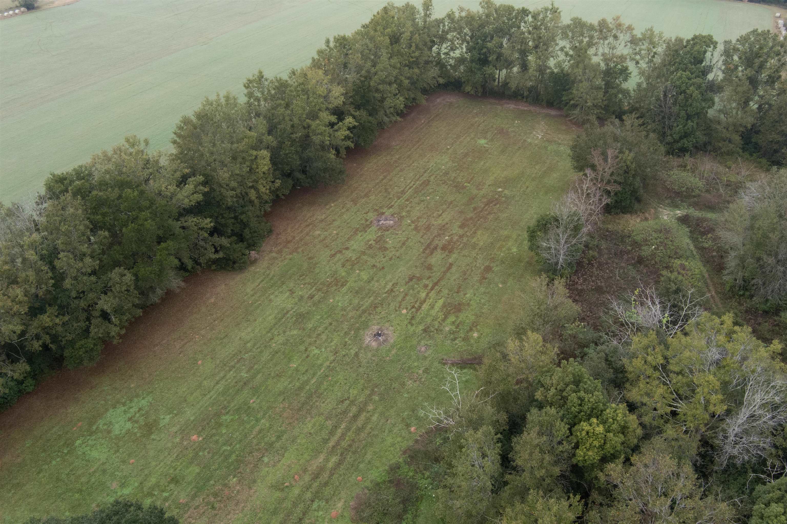 21375 Highway 98 Foley, AL 36535 - Photo 27 of 34