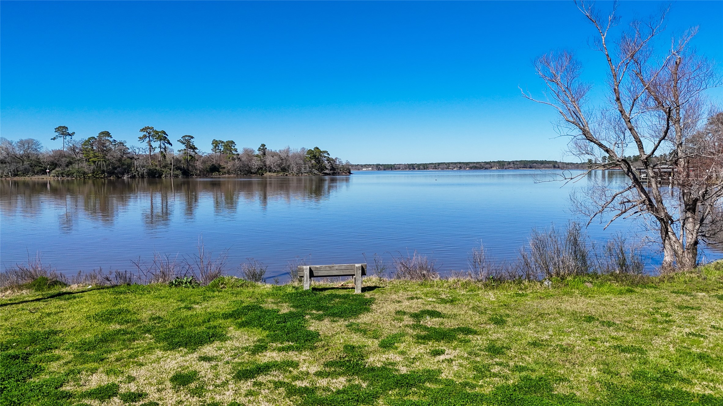 224 Steinback Avenue Trinity, TX 75862 - Photo 3 of 23 a view of a lake with a house in the background