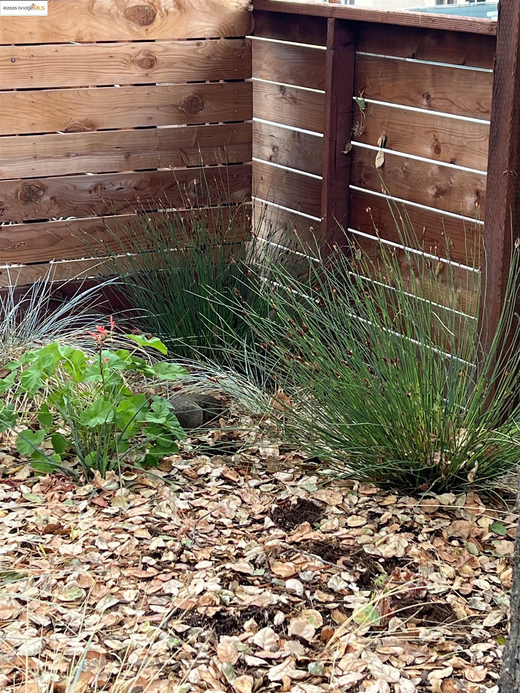 2718 Durant Avenue, Unit B Berkeley, CA 94704 - Photo 15 of 15