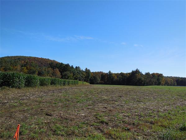 Lot 1 Easthampton Road Westhampton, MA 01027 - Photo 1 of 1 Gallery Image 1