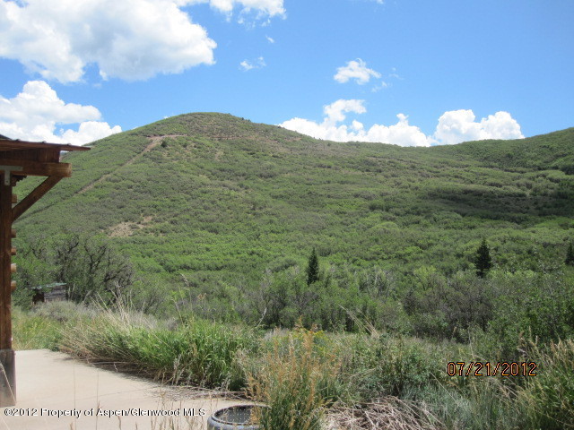 22434 Divide Creek Road Collbran, CO 81624 - Photo 3 of 14 IMG_1444