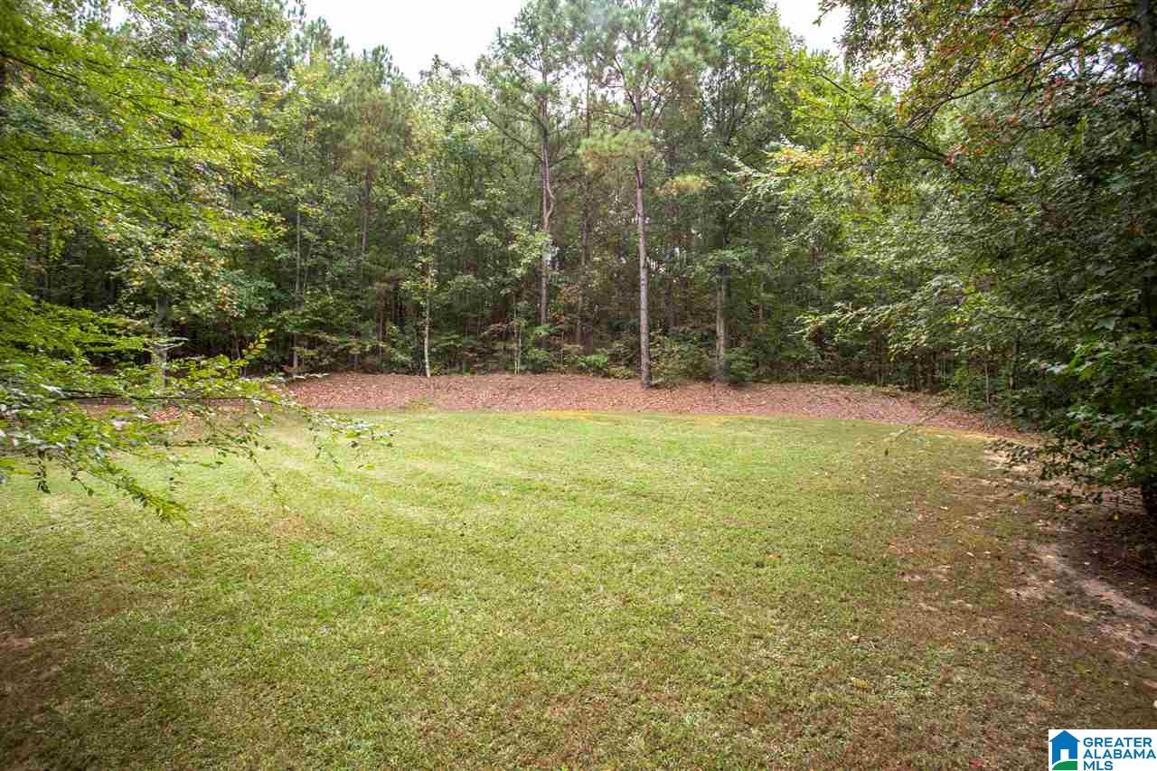 909 Blue Ridge Way Odenville, AL 35120 - Photo 42 of 45