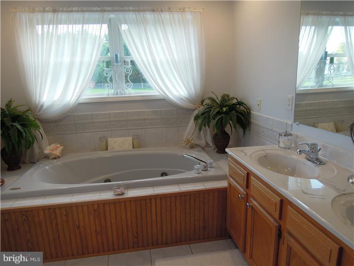 300 Maple Lane Riegelsville, PA 18077 - Photo 12 of 25 Master Bathroom