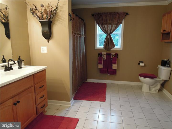 300 Maple Lane Riegelsville, PA 18077 - Photo 16 of 25 Bathroom