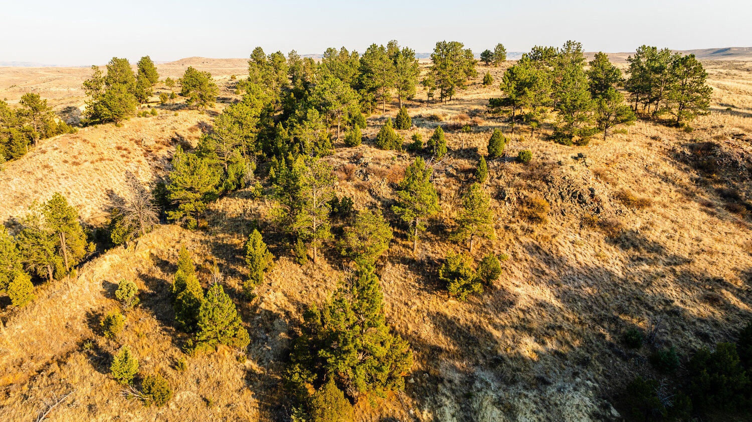 827 Decker Road Sheridan, WY 82801 - Photo 19 of 22 dji_20241014163525_0932_d_256 (1)