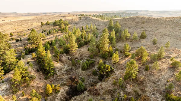 $935,000 | 827 Decker Road, Sheridan, WY 82801