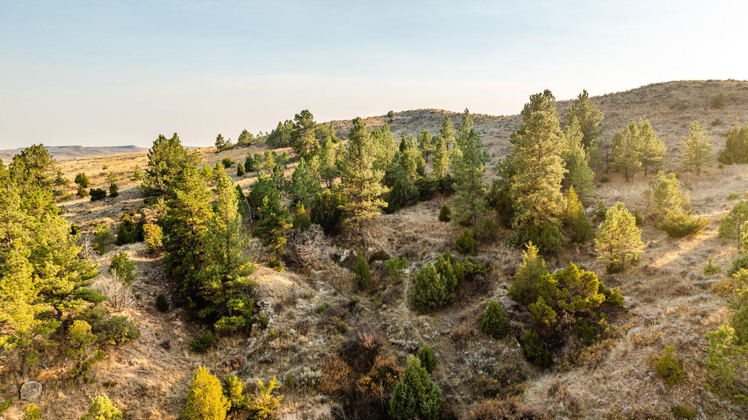 827 Decker Road Sheridan, WY 82801 - Photo 21 of 22 dji_20241014163219_0922_d_335