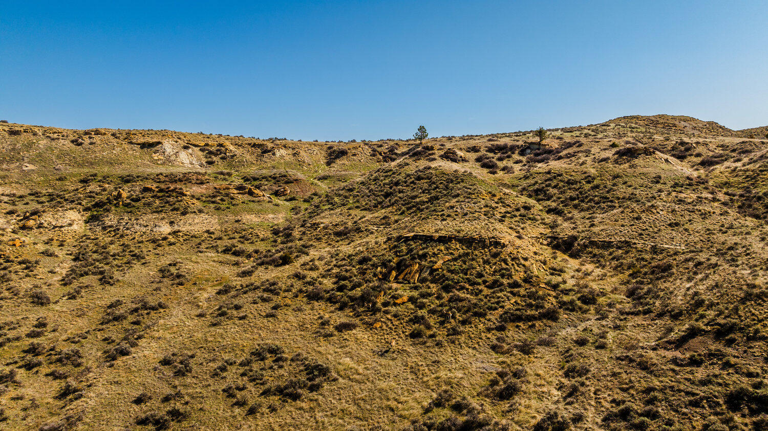 827 Decker Road Sheridan, WY 82801 - Photo 10 of 22 dji_20250410105625_0894_d_497