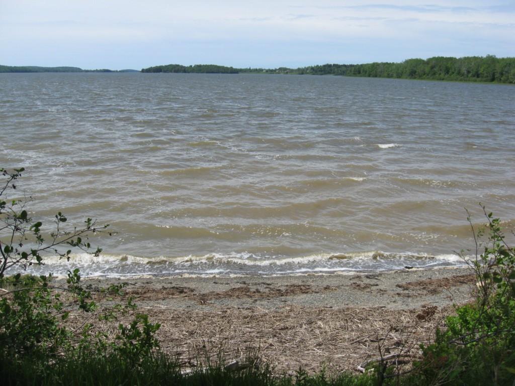 65 East Side Road Addison, ME 04606 - Photo 7 of 9 Water frontage and Sandy Beach
