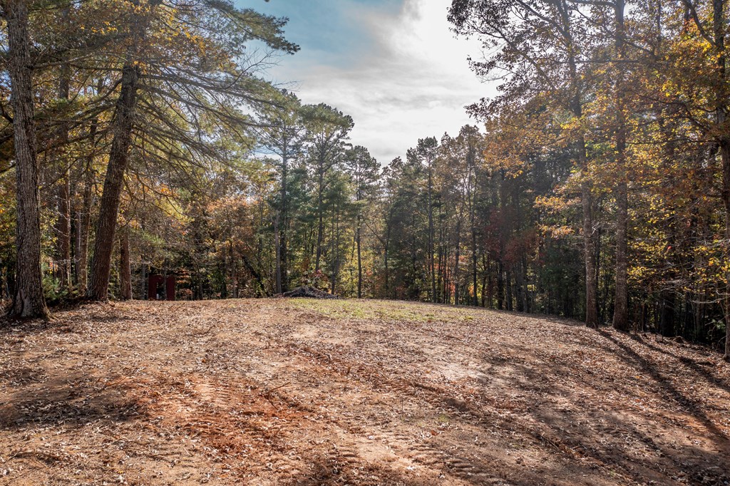 300 Springbrook Lane Murphy, NC 28906 - Photo 17 of 39 Gallery Image 17