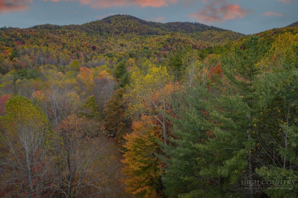 374 Lawrence Greene Road Deep Gap, NC 28618 - Photo 2 of 19 Gallery Image 2