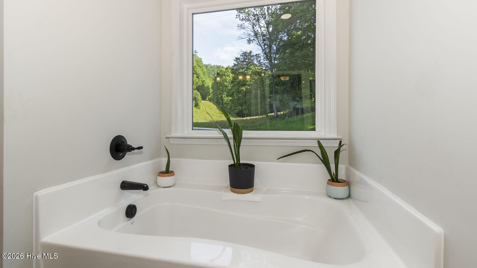 1651 Winding Stairs Road Topton, NC 28781 - Photo 77 of 132