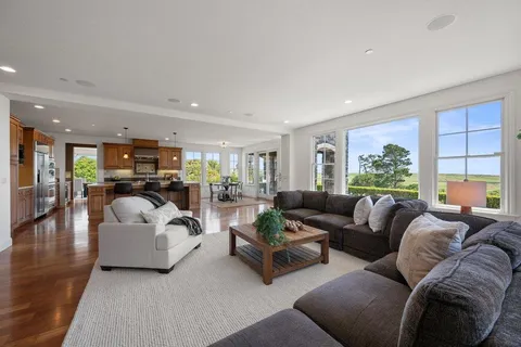 a living room with furniture fireplace and a potted plant