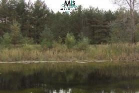 0 Church Street Applegate, MI 48401 - Photo 8 of 9 876825-7.JPG
