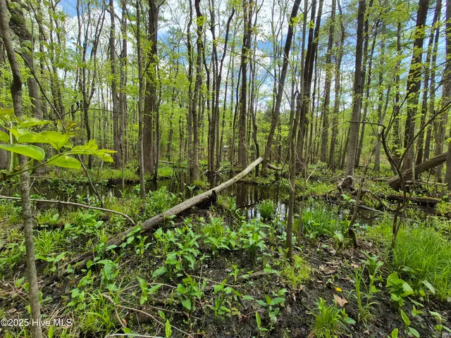 $50,000 | 286 Trent Acres Drive, Pollocksville, NC 28573