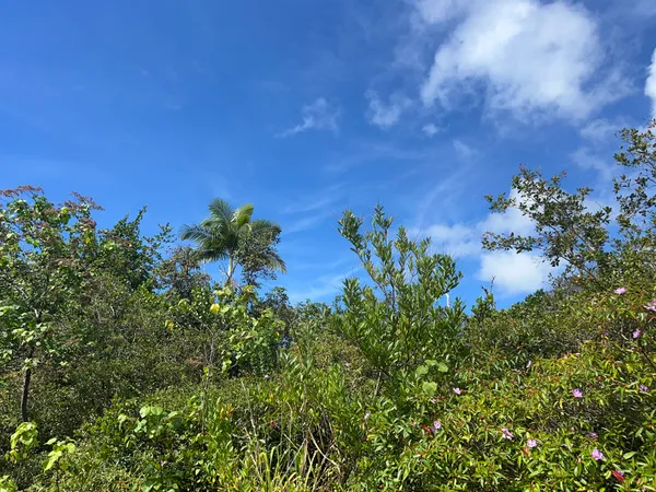 $500,000 | 254 Kukuau Street, Hilo, HI 96720