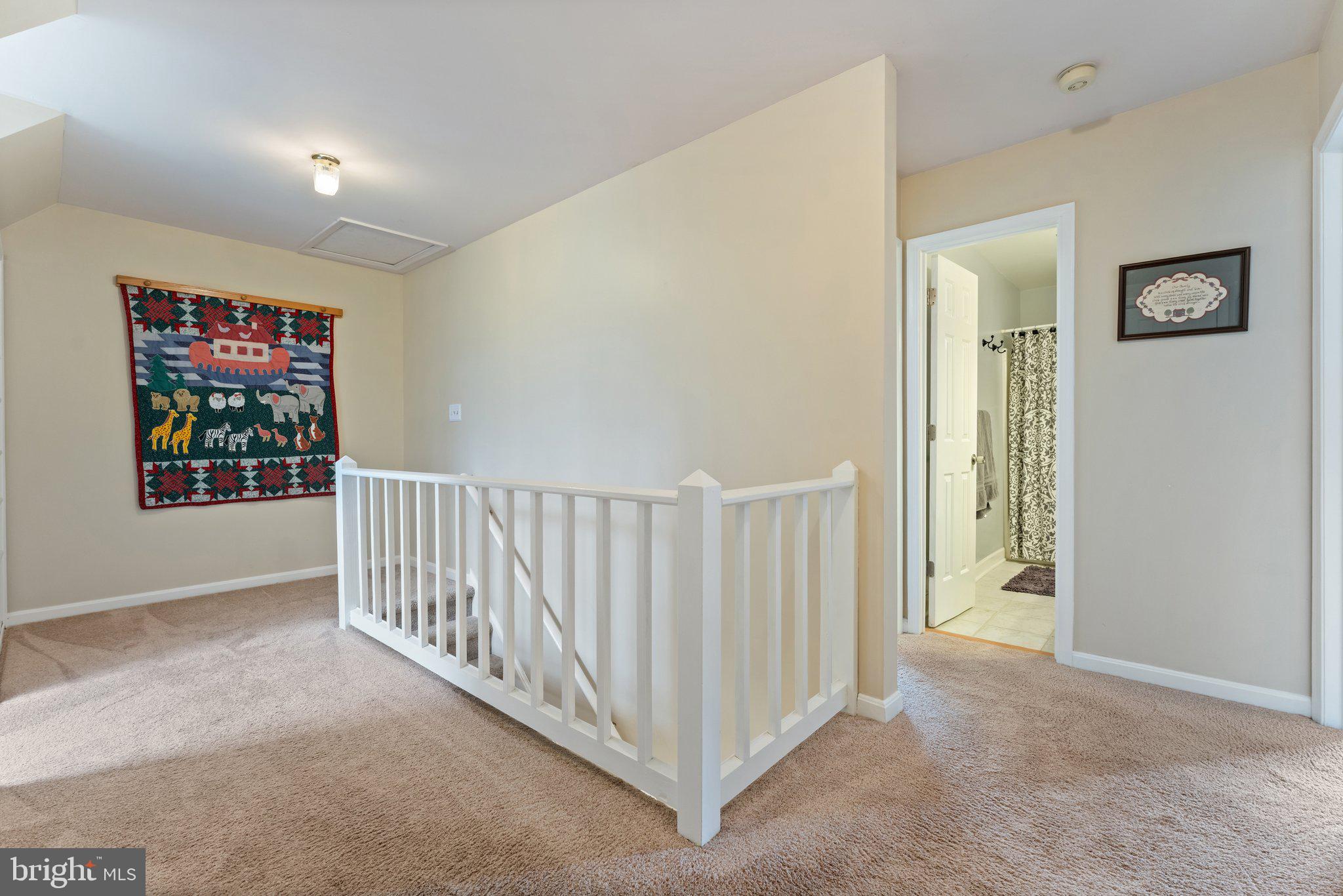 5035 Courtneys Corner Road Sumerduck, VA 22742 - Photo 44 of 71 Upper Level Hall
