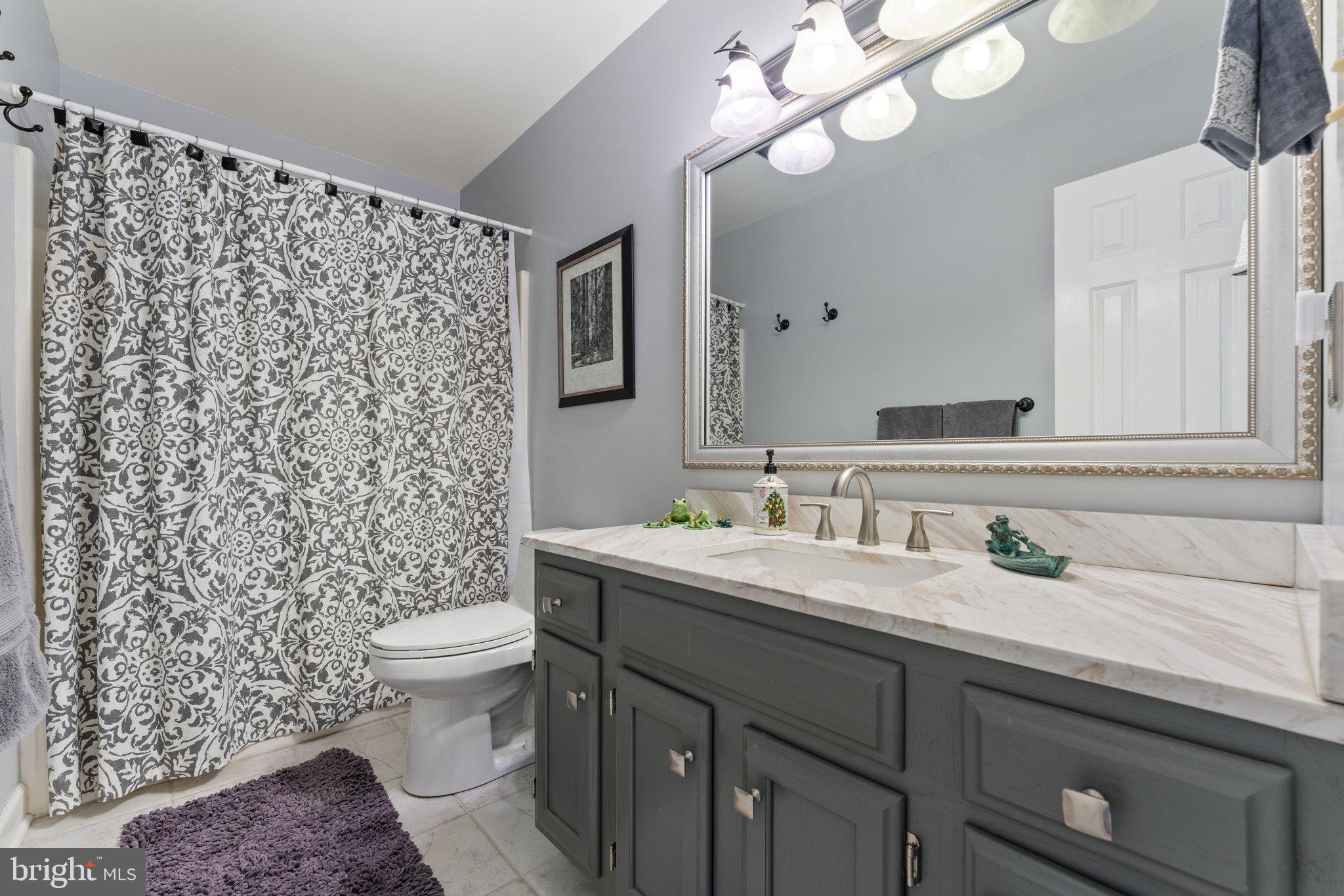 5035 Courtneys Corner Road Sumerduck, VA 22742 - Photo 49 of 71 Upper Level Full Bath