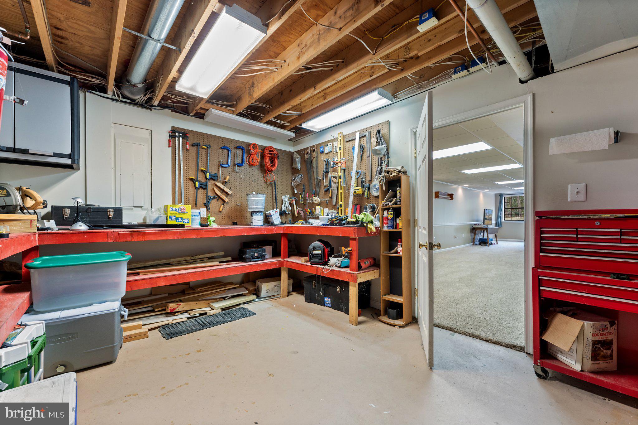 5035 Courtneys Corner Road Sumerduck, VA 22742 - Photo 64 of 71 Storage in Basement