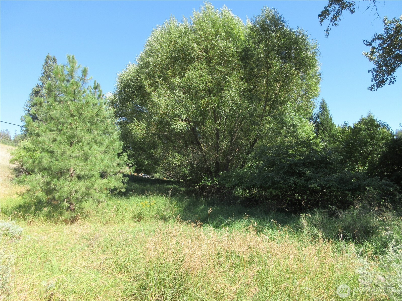 0 Customs Road Curlew, WA 99118 - Photo 8 of 17 Gallery Image 8