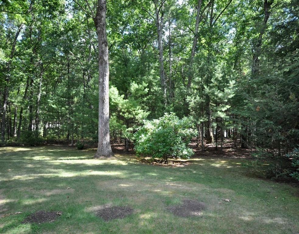 473 Powder Mill Road Concord, MA 01742 - Photo 14 of 14 Gallery Image 14