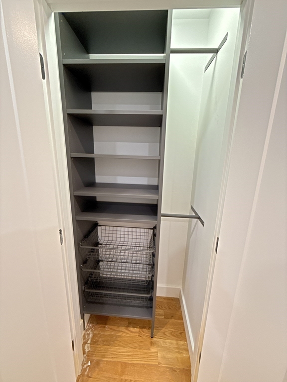 36 Shepard Street, Unit 1 Boston, MA 02135 - Photo 28 of 29 a view of walk in closet with empty racks
