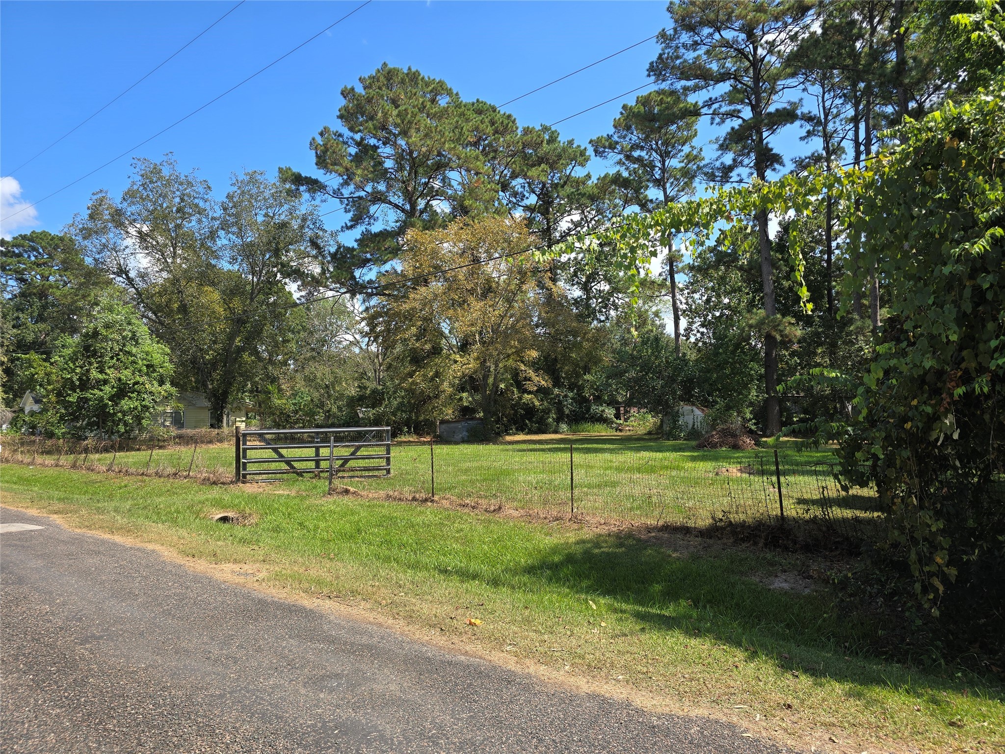 a view of outdoor space with garden and trees