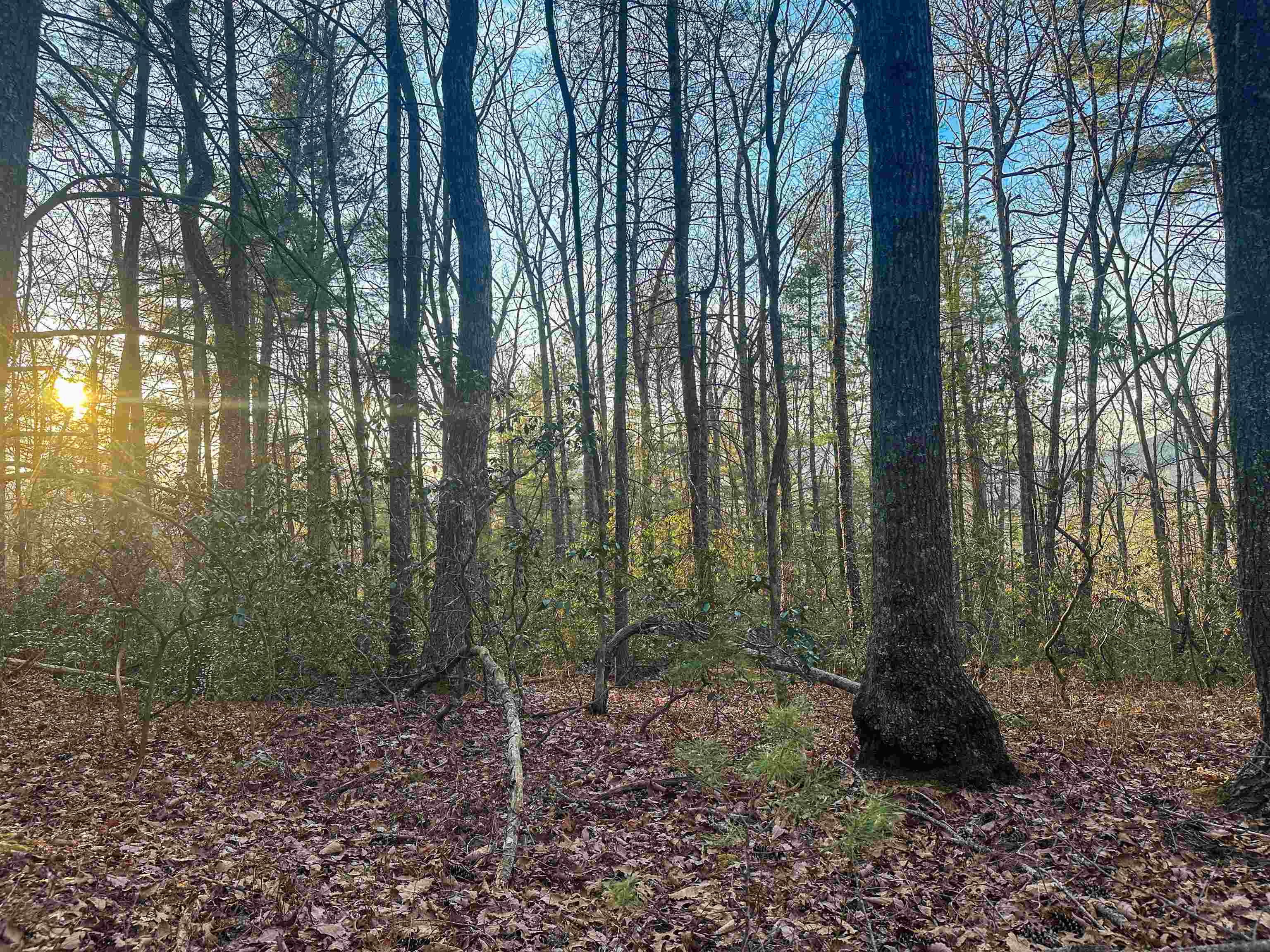 4358 Deerfield Valley Road Deerfield, VA 24432 - Photo 16 of 28 a view of outdoor space and green space