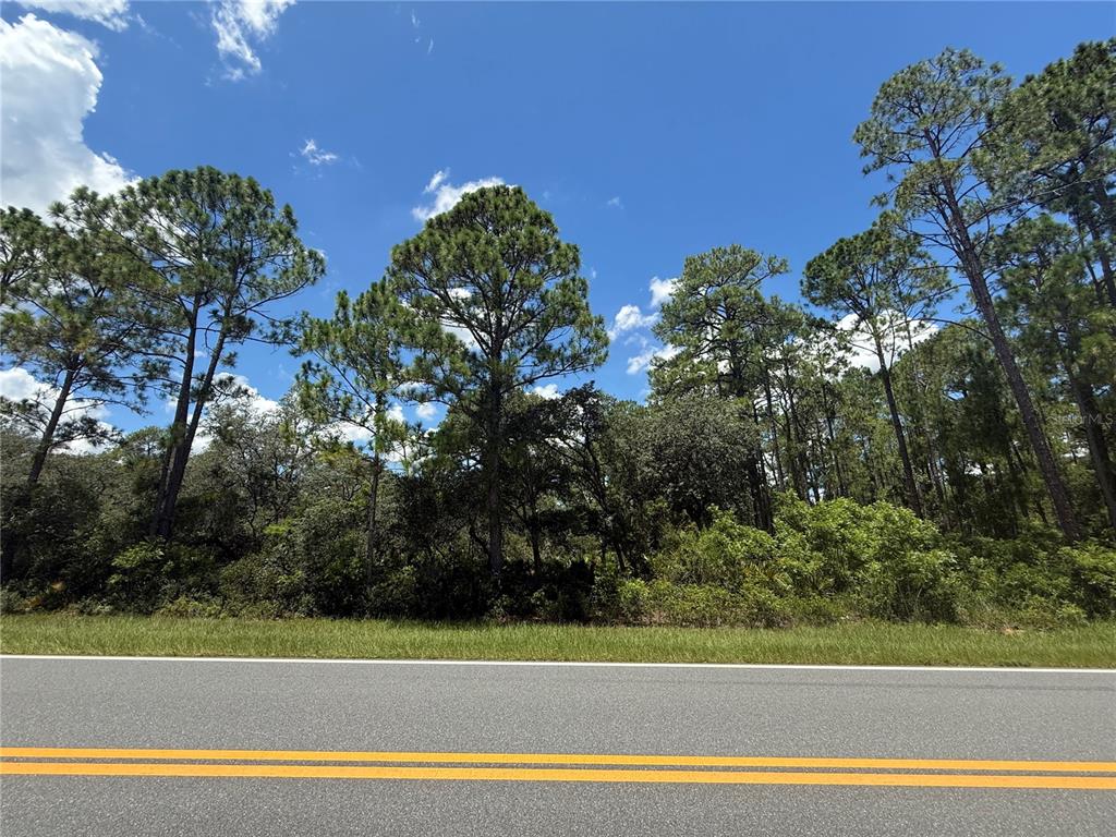 Fisher Road Ocklawaha, FL 32179 - Photo 2 of 4
