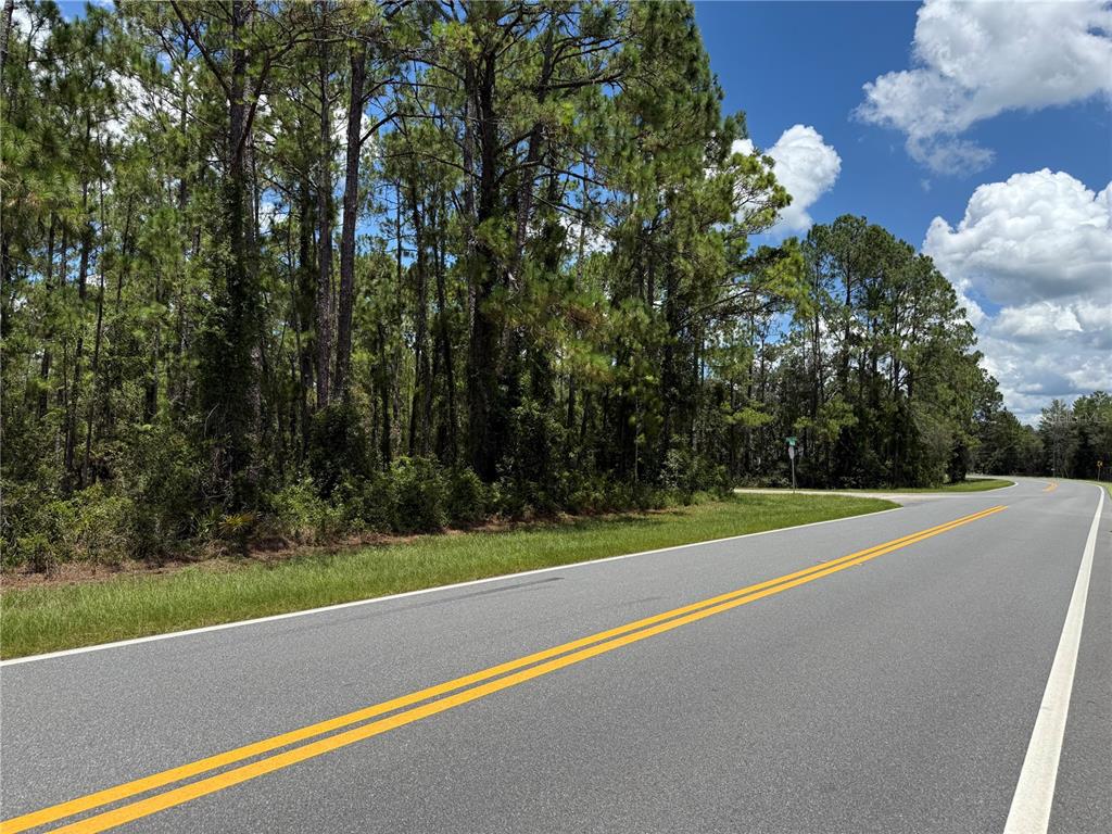 Fisher Road Ocklawaha, FL 32179 - Photo 4 of 4