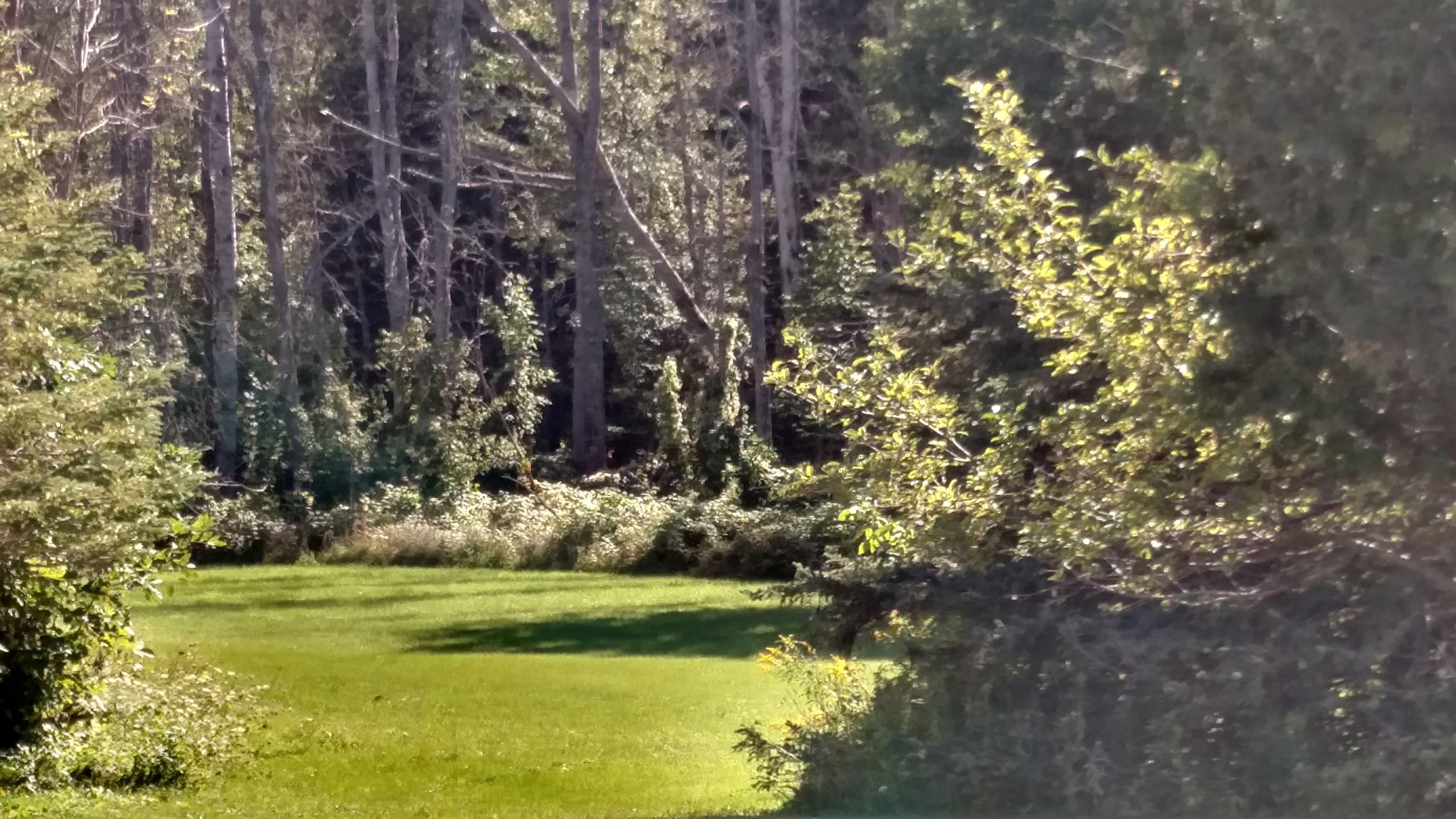 2484 Long Lake Road Cheboygan, MI 49721 - Photo 20 of 29 Gallery Image 20