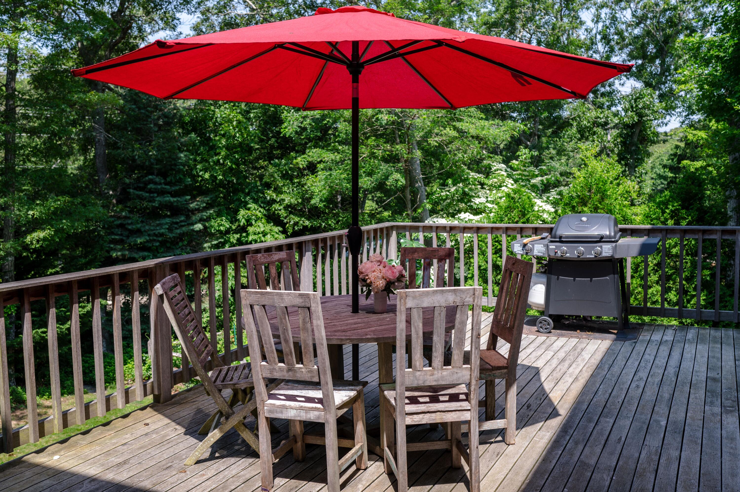 208 Irenes Way Tisbury, MA 02568 - Photo 51 of 70 AnicaBanica Photography-2265 sm