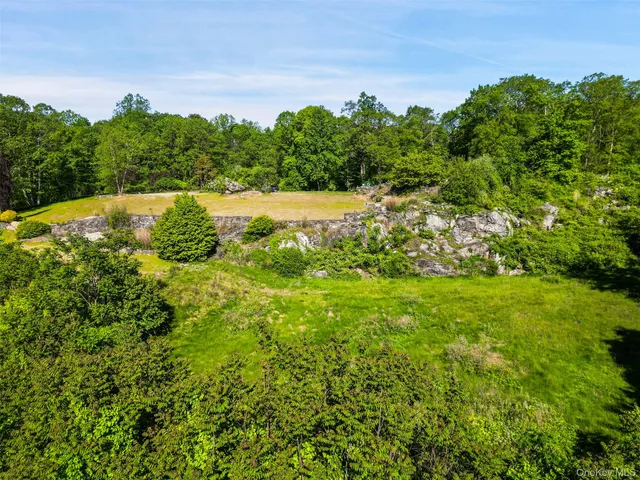 a view of a lush green space with sea