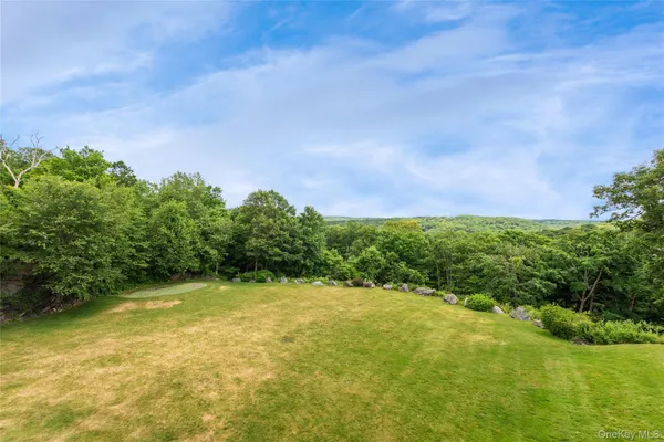 a view of a forest with trees in the background