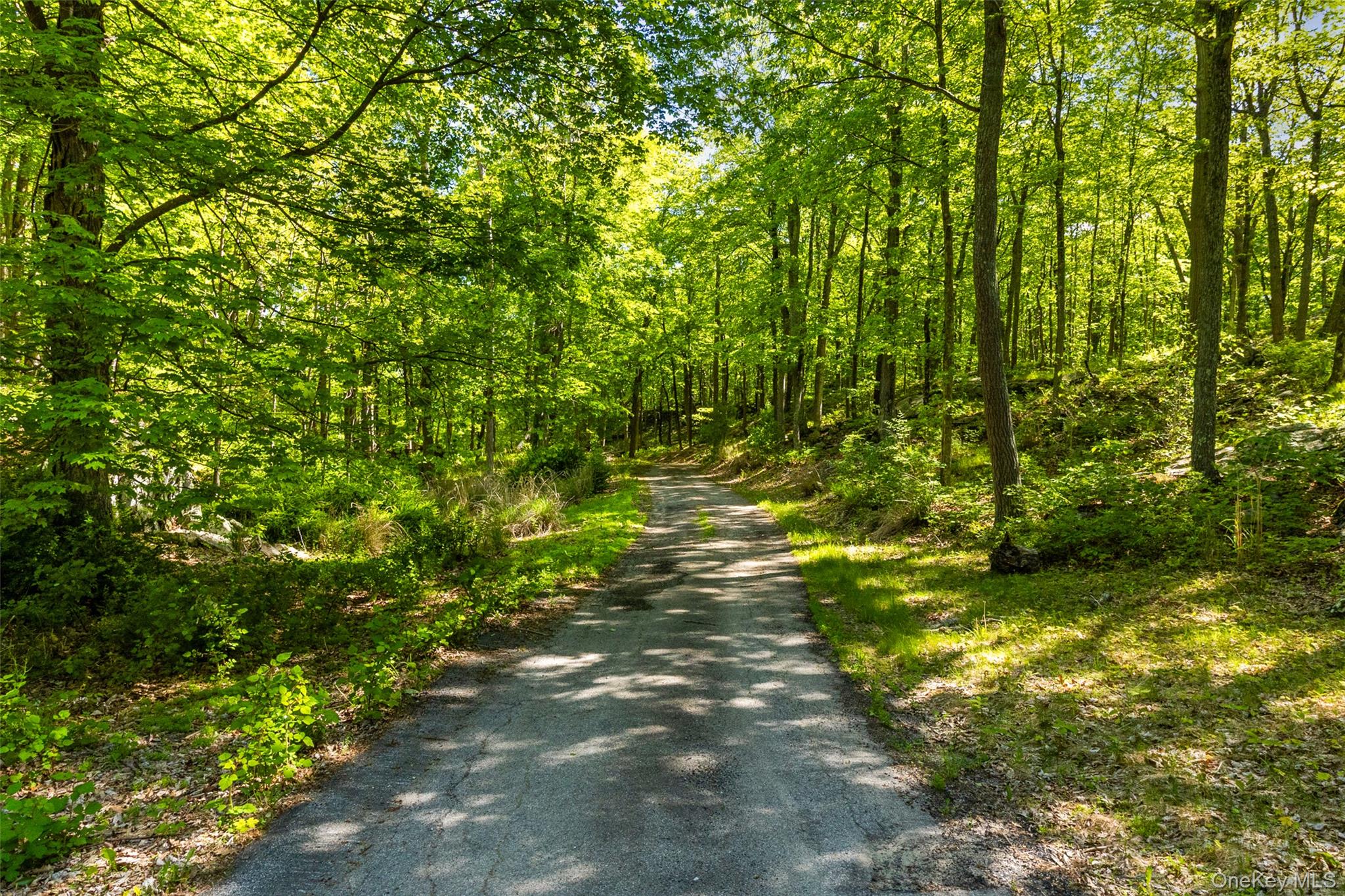 371-383 Pea Pond Road Katonah, NY 10536 - Photo 9 of 14 a view of a yard with a tree