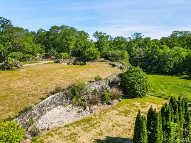 a view of a yard with plants and large trees
