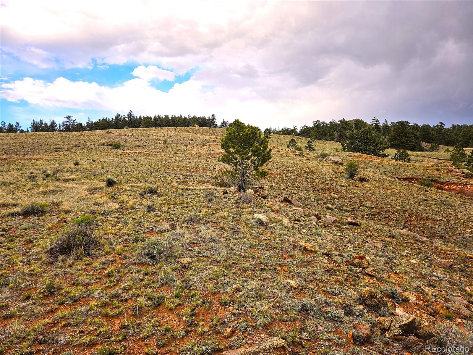 Fernando Trail Hartsel, CO 80449 - Photo 13 of 35
