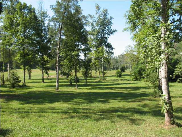 550 Polymer Drive Decatur, TN 37322 - Photo 23 of 32 Additional Photo