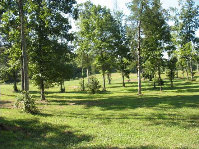 550 Polymer Drive Decatur, TN 37322 - Photo 24 of 32 Additional Photo