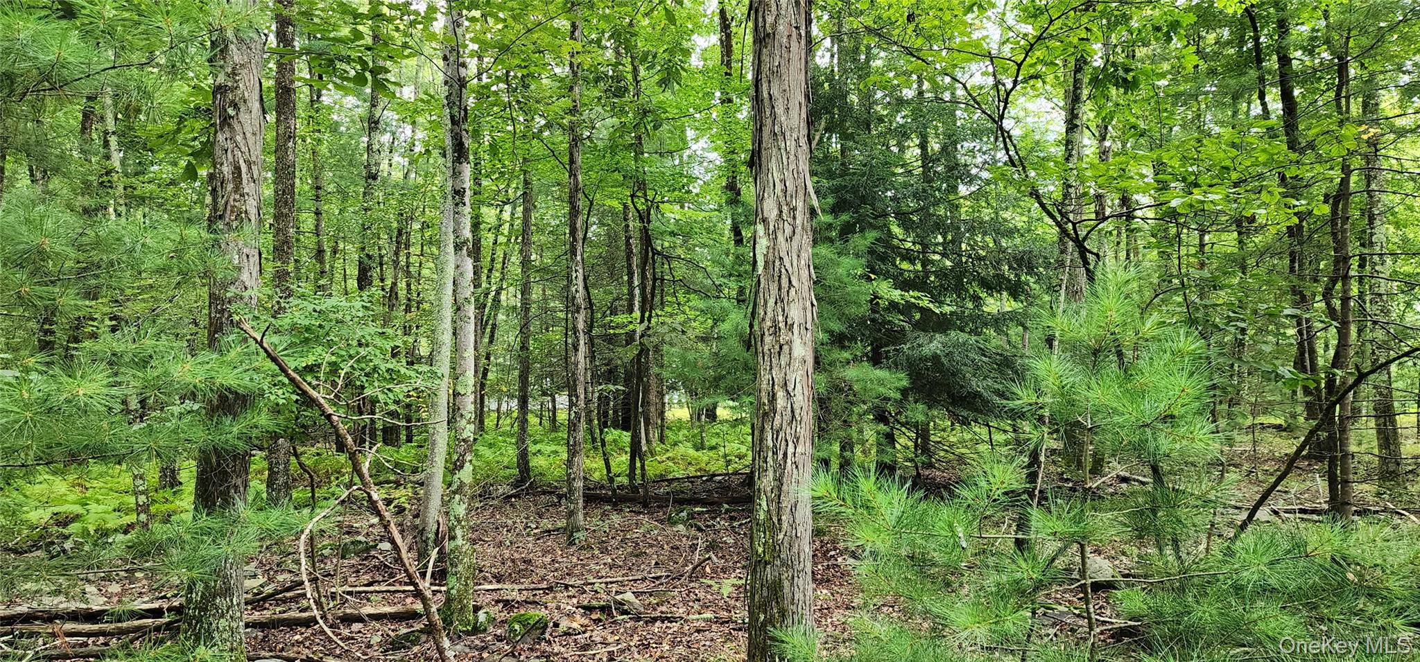 128 Wilson Road Sparrowbush, NY 12780 - Photo 3 of 4