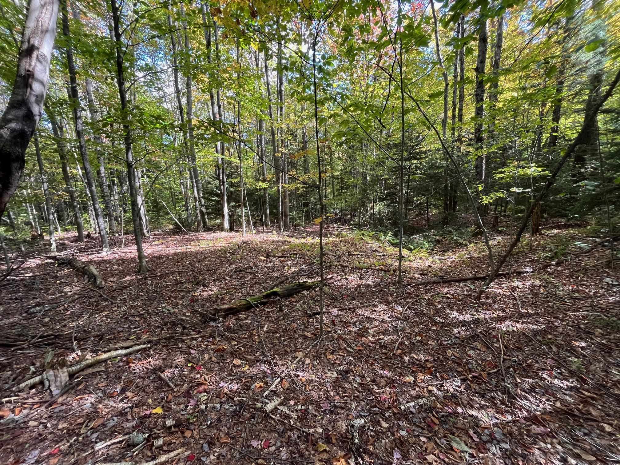 0 German Flats Road, Unit 3 Waitsfield, VT 05673 - Photo 4 of 15 Gallery Image 4